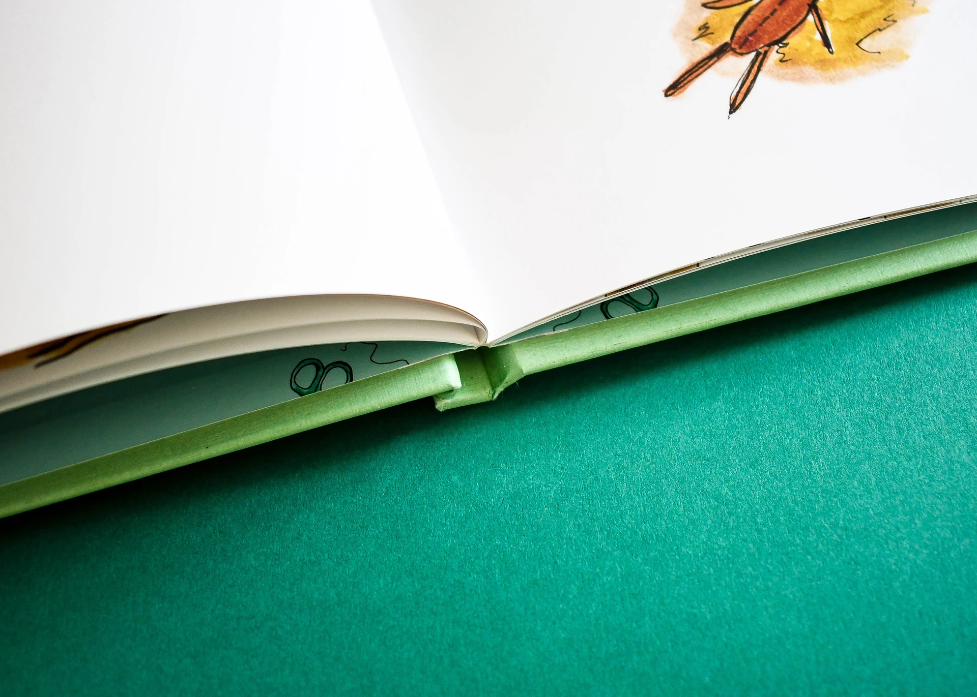 Close-up of the Cloth Monkey hinge, green endpaper joining the page block to the case.