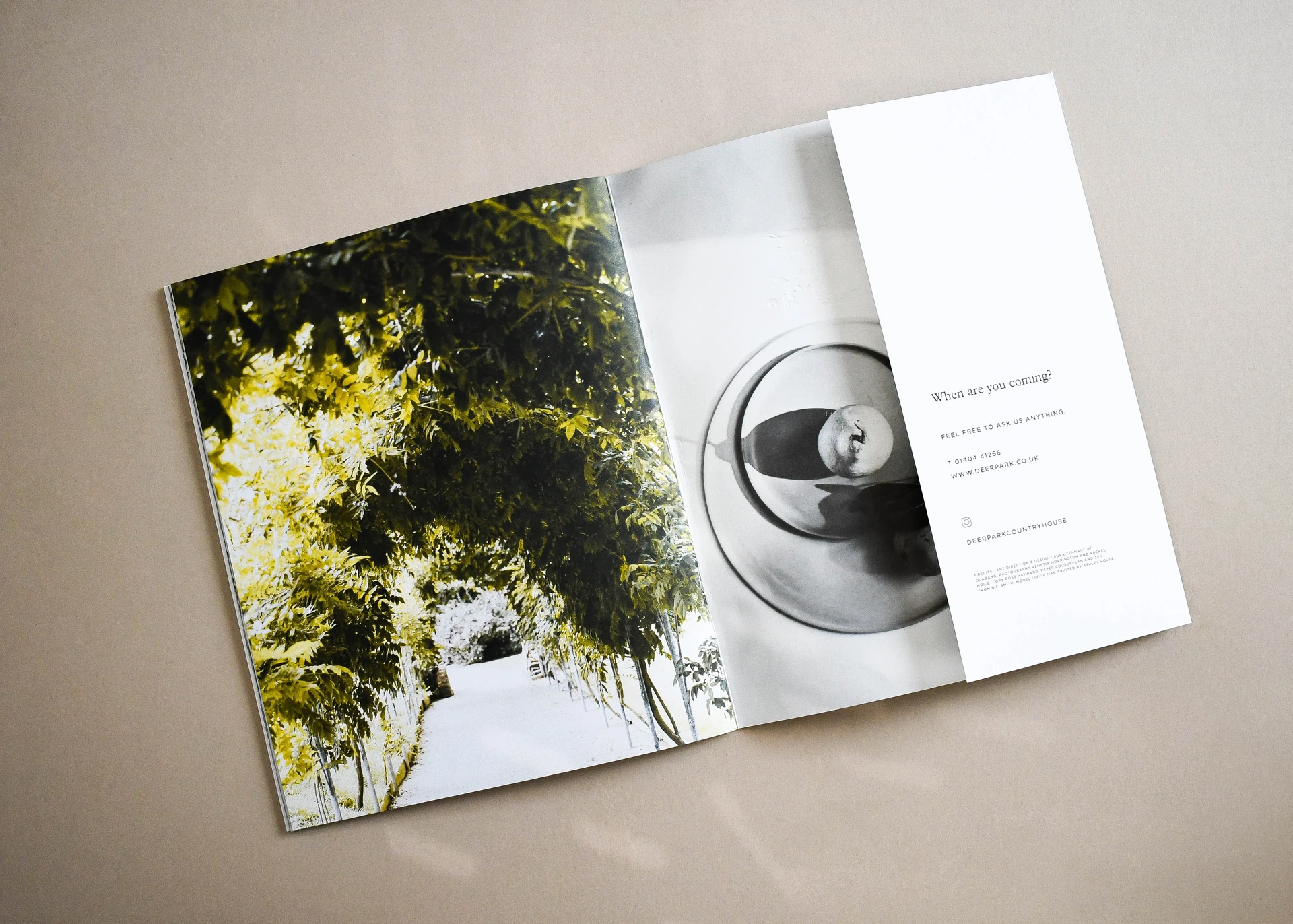 Deer Park brochure open at a wisteria walk photograph, with the contact panel folded out.