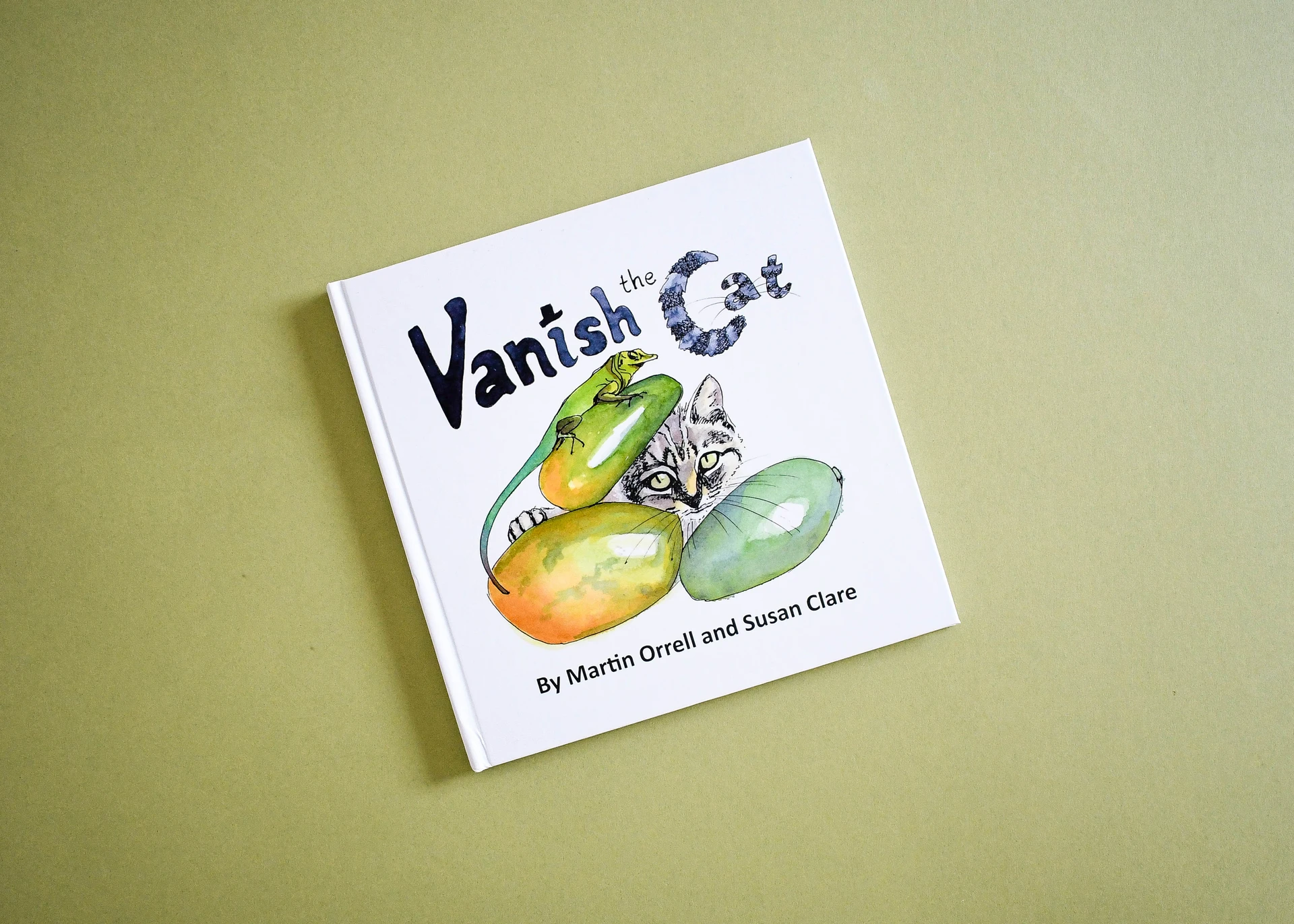 Vanish the Cat by Martin Orrell and Susan Clare, a square casebound hardback with a white cover.