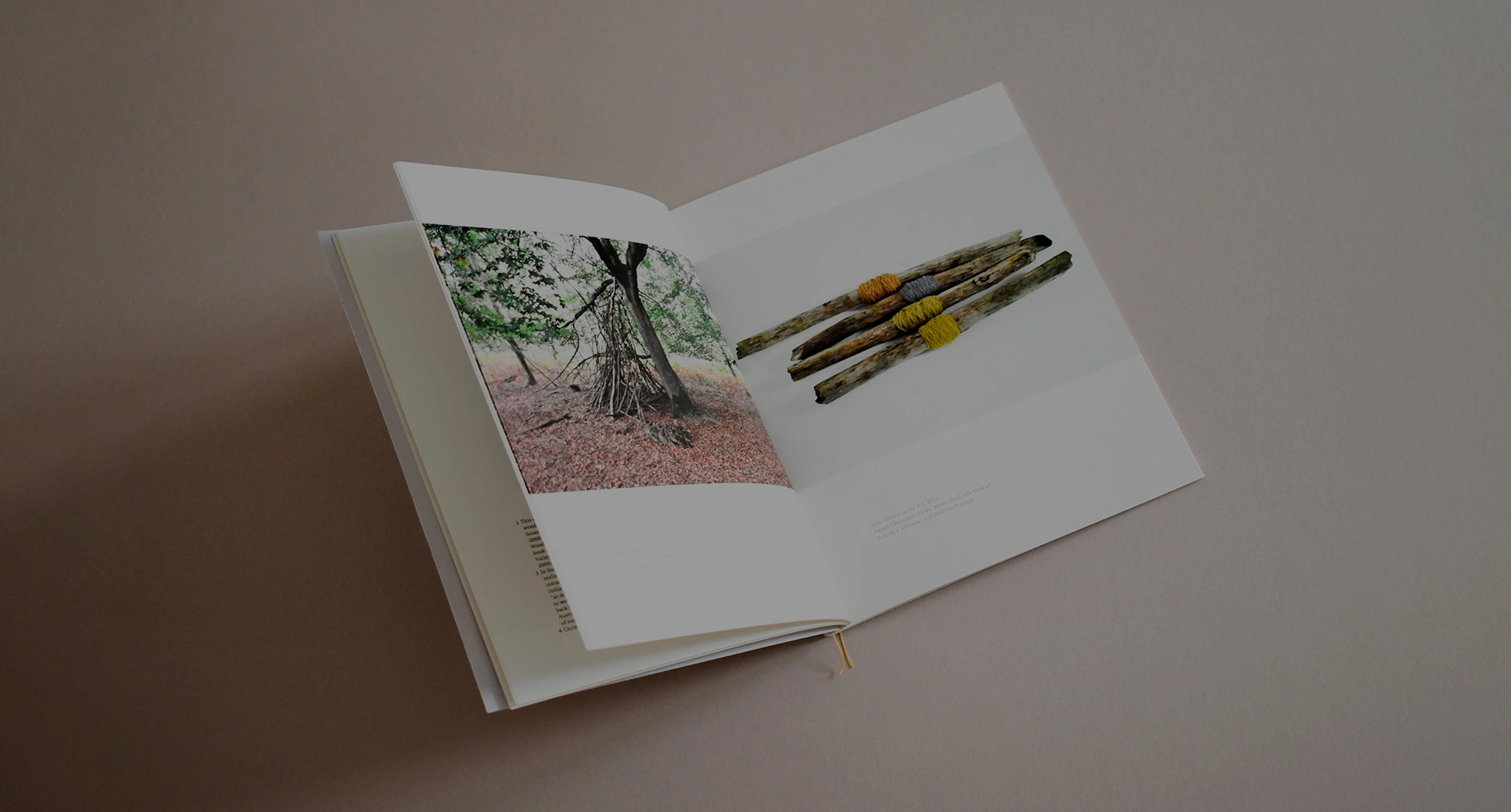 An open brochure showing a centre page spread photographed on a cream background with nice shadows.