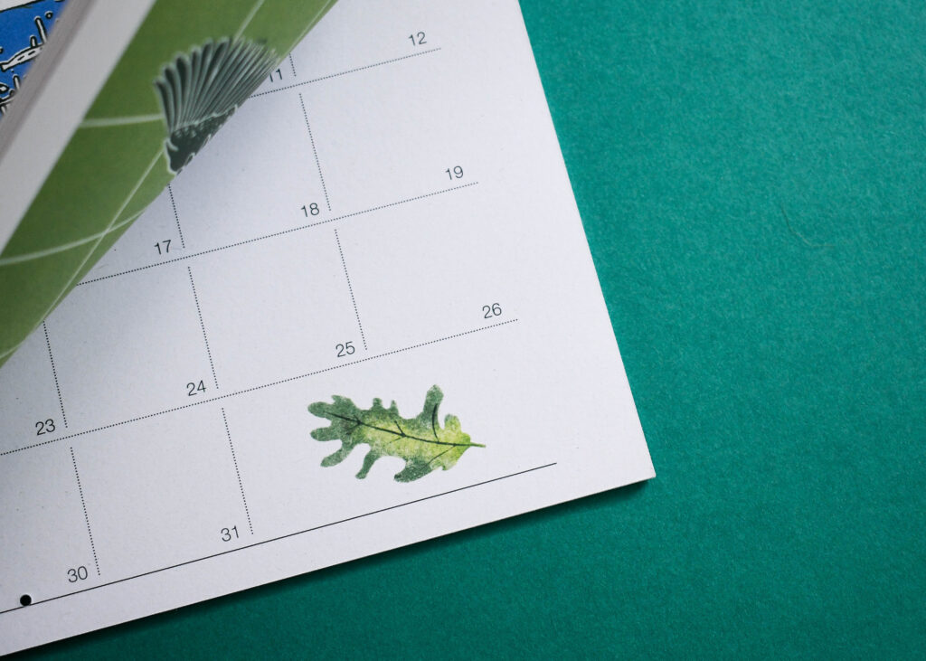 Inside spread of a printed calendar showing a turned page and green illustration detail