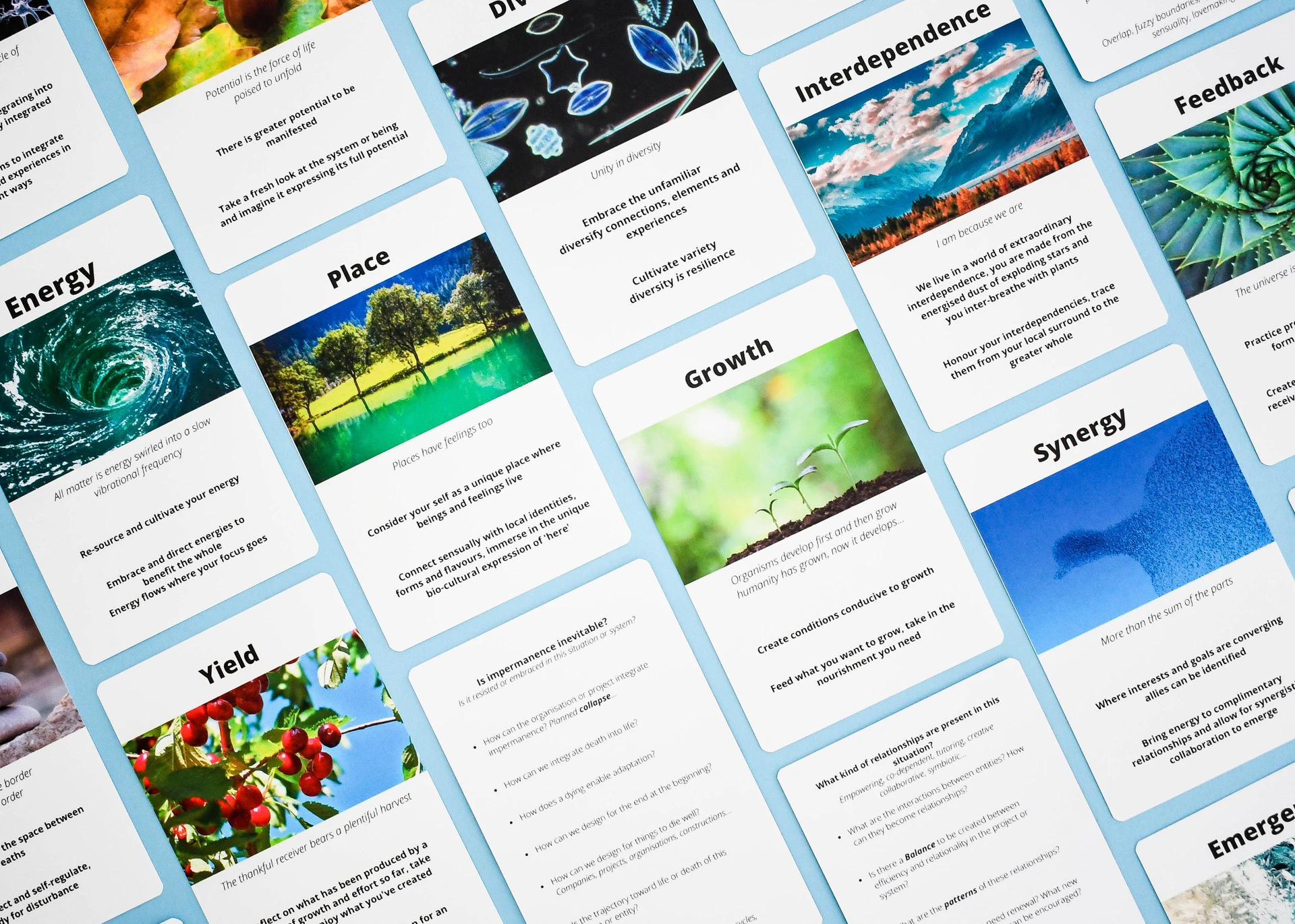 Printed wellbeing card set with nature imagery and clear text on a blue background