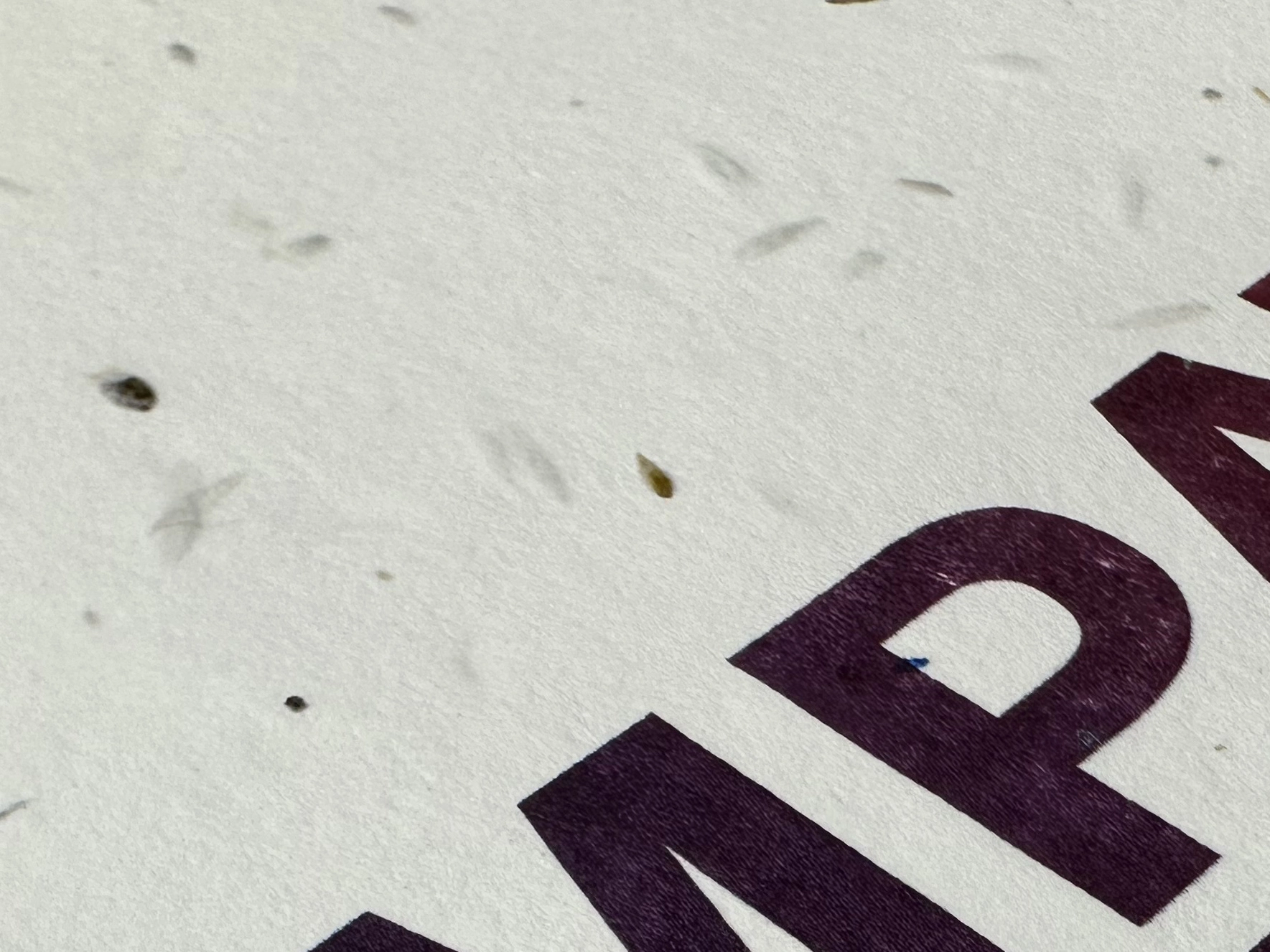 Close up of seed paper showing embedded fibres and seeds for eco-friendly printed materials