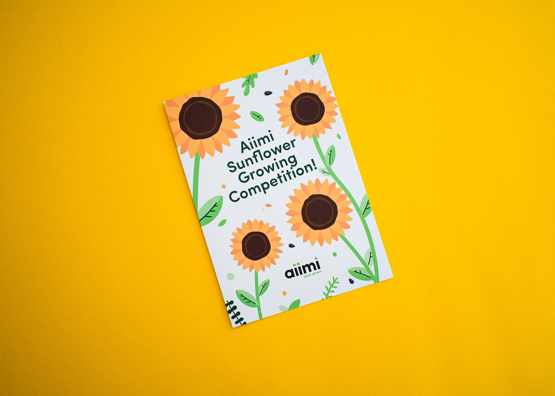 Colourful sunflower growing competition flyer printed with illustrated flowers on a white background