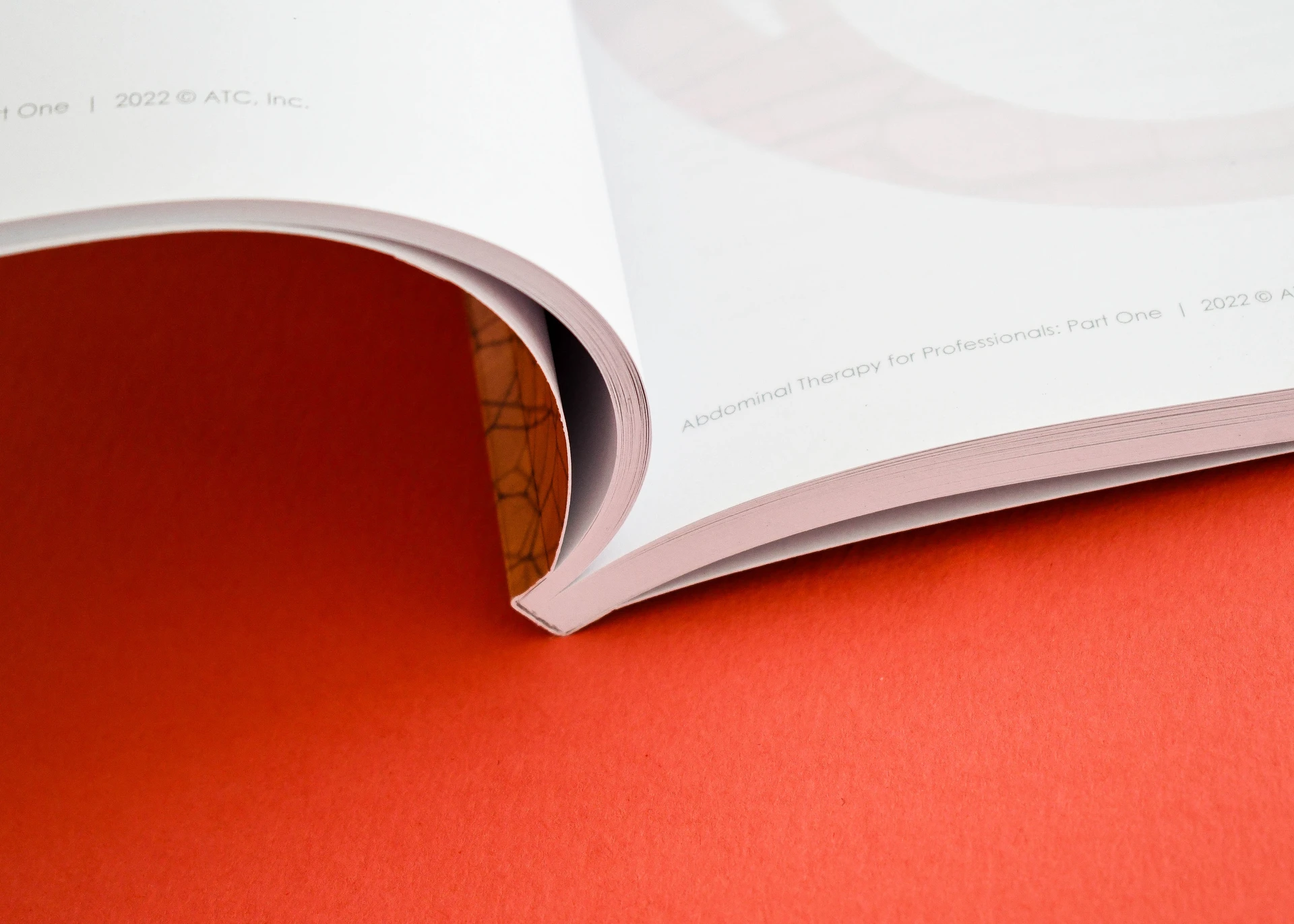 Squared perfect bound spine on an open handbook, showing the glued edge and text pages.